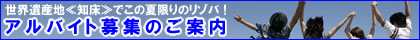 �A���o�C�g��W�I