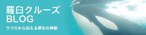 羅臼ホエールウォッチングBLOG