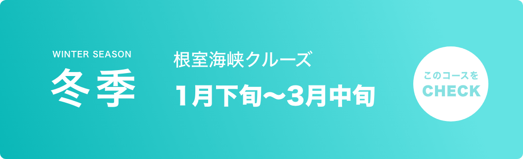冬季 根室海峡クルーズ 2/1 ~ 3月末