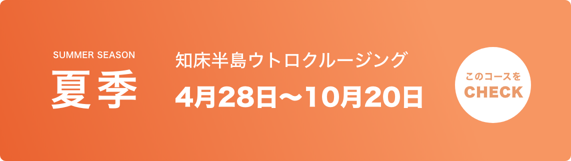 夏季 知床半島ウトロクルージング