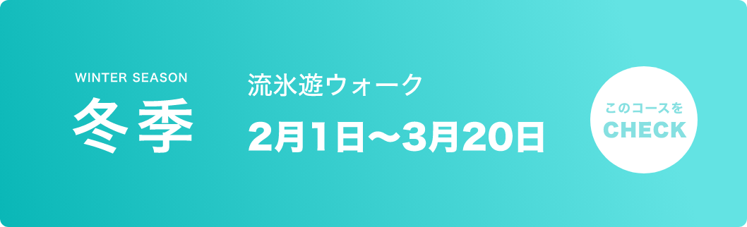 冬季 流水遊ウォーク