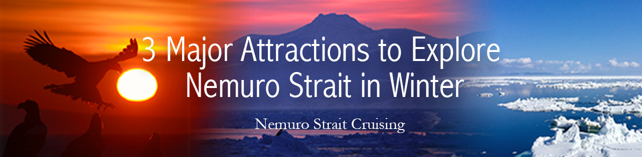 3 Major Attractions to Explore Nemuro Strait in Winter